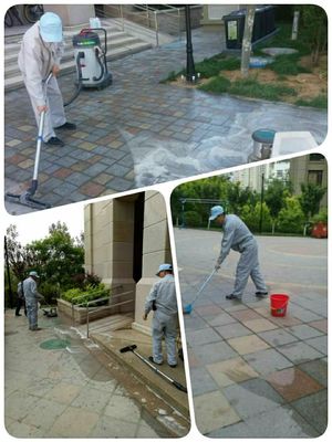 恒德物業坦誠小區五月工作通報 深化保潔服務，共建整潔家園